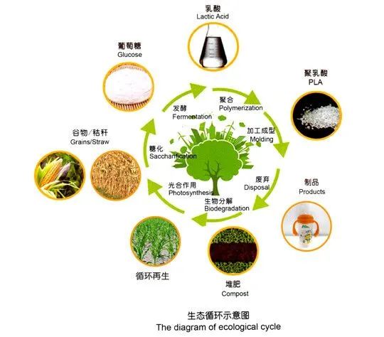 可降解塑料袋為什么都是PBAT＋PLA？(圖4)